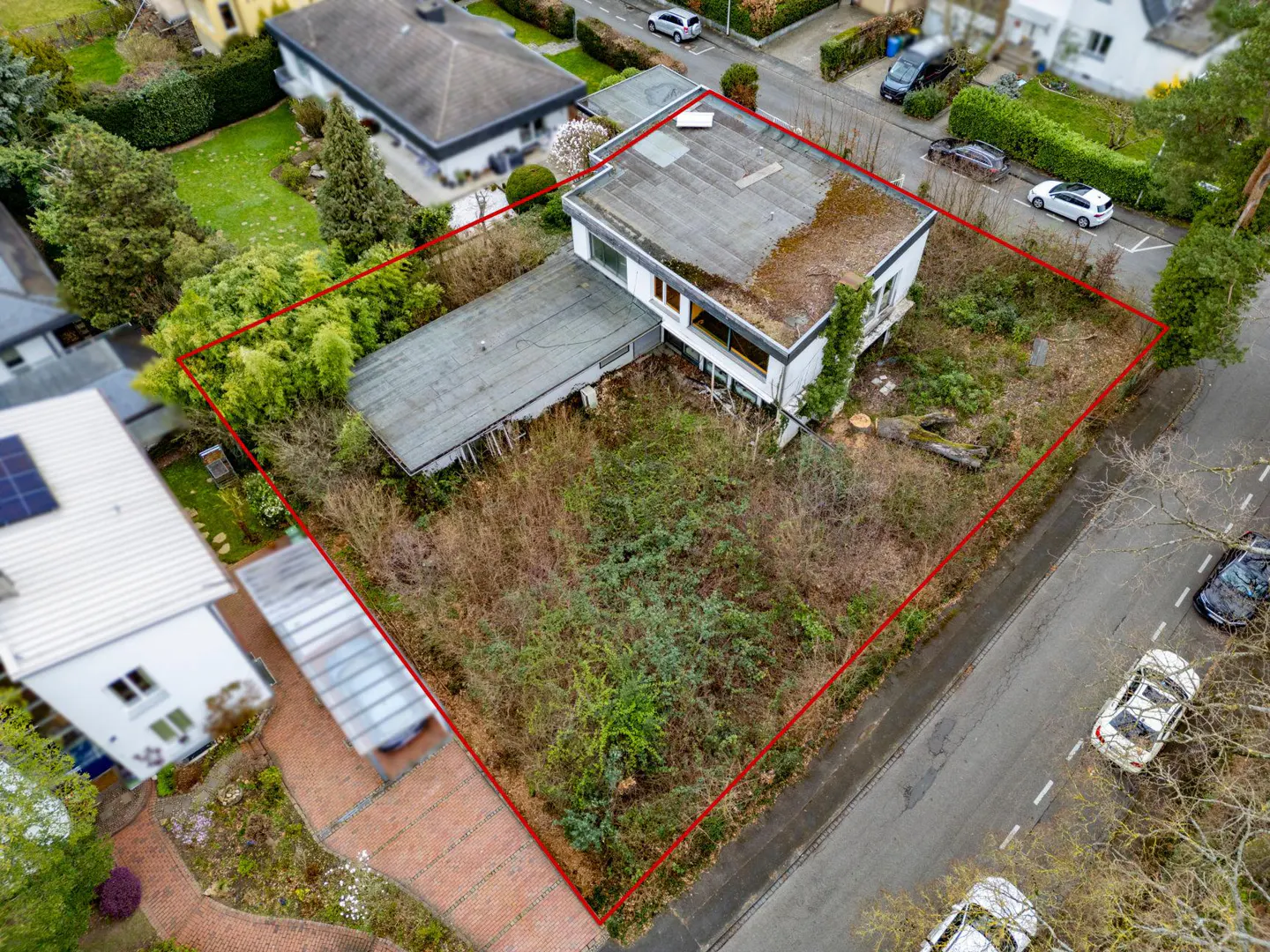 Aerial view of a white, two-story house with a flat roof, surrounded by overgrown vegetation and marked with a red property line.