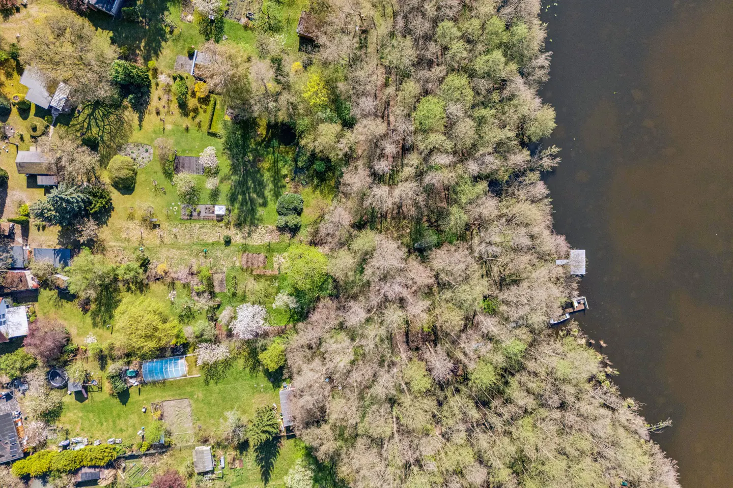 Aerial view of lakefront property with houses, gardens, and a dense forest bordering the water. A small dock extends into the lake.