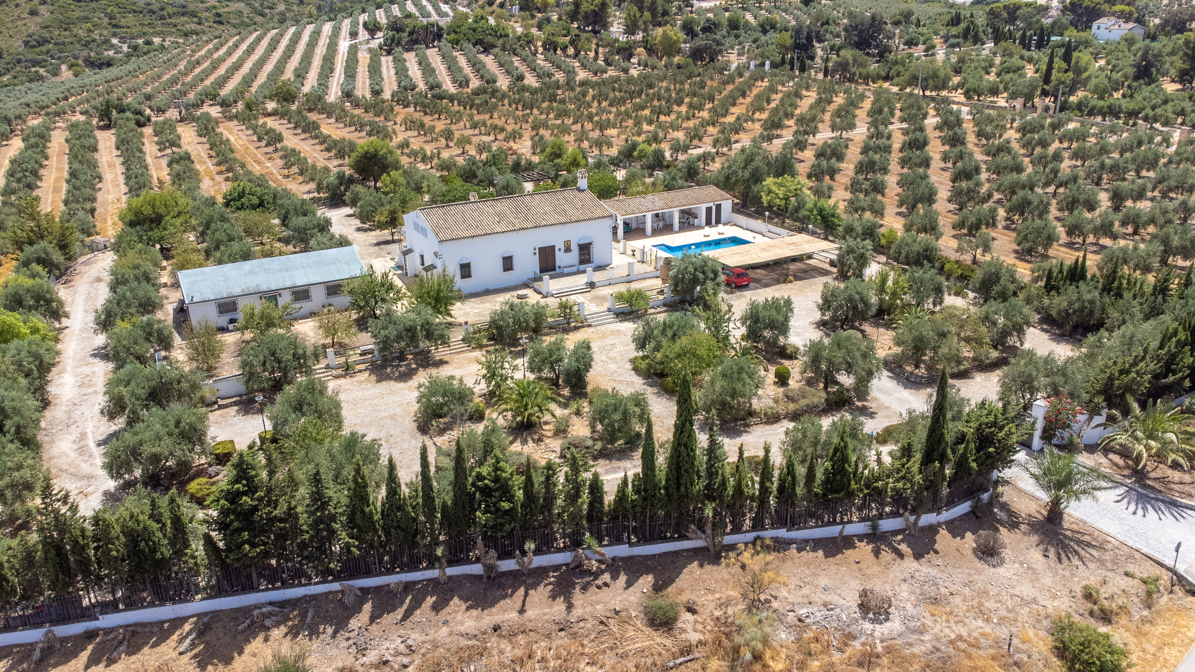 Engel & Völkers presenta: Espectacular Finca Olivarera con Vistas Panorámicas en Osuna