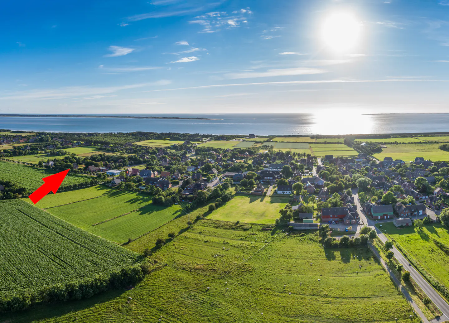 Aerial view of a green field with a red arrow pointing to it, a village, and the ocean under a blue sky.