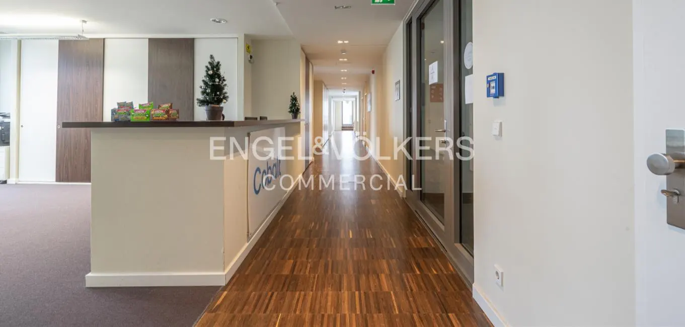 Office interior with a reception desk, snacks, and a small Christmas tree. A long hallway stretches into the distance with wood floors.