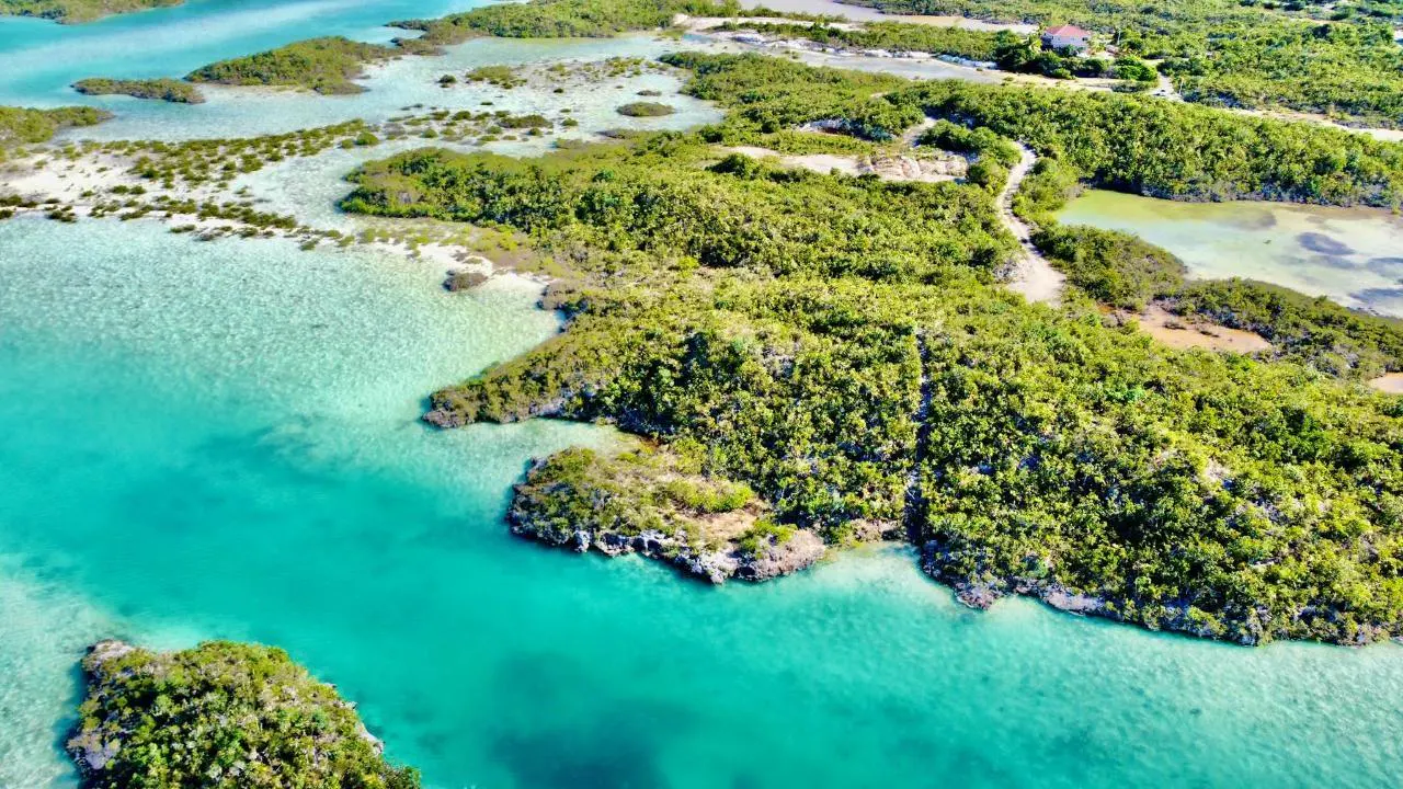 Aerial view of lush green islands surrounded by turquoise water. A small house is visible on one island.
