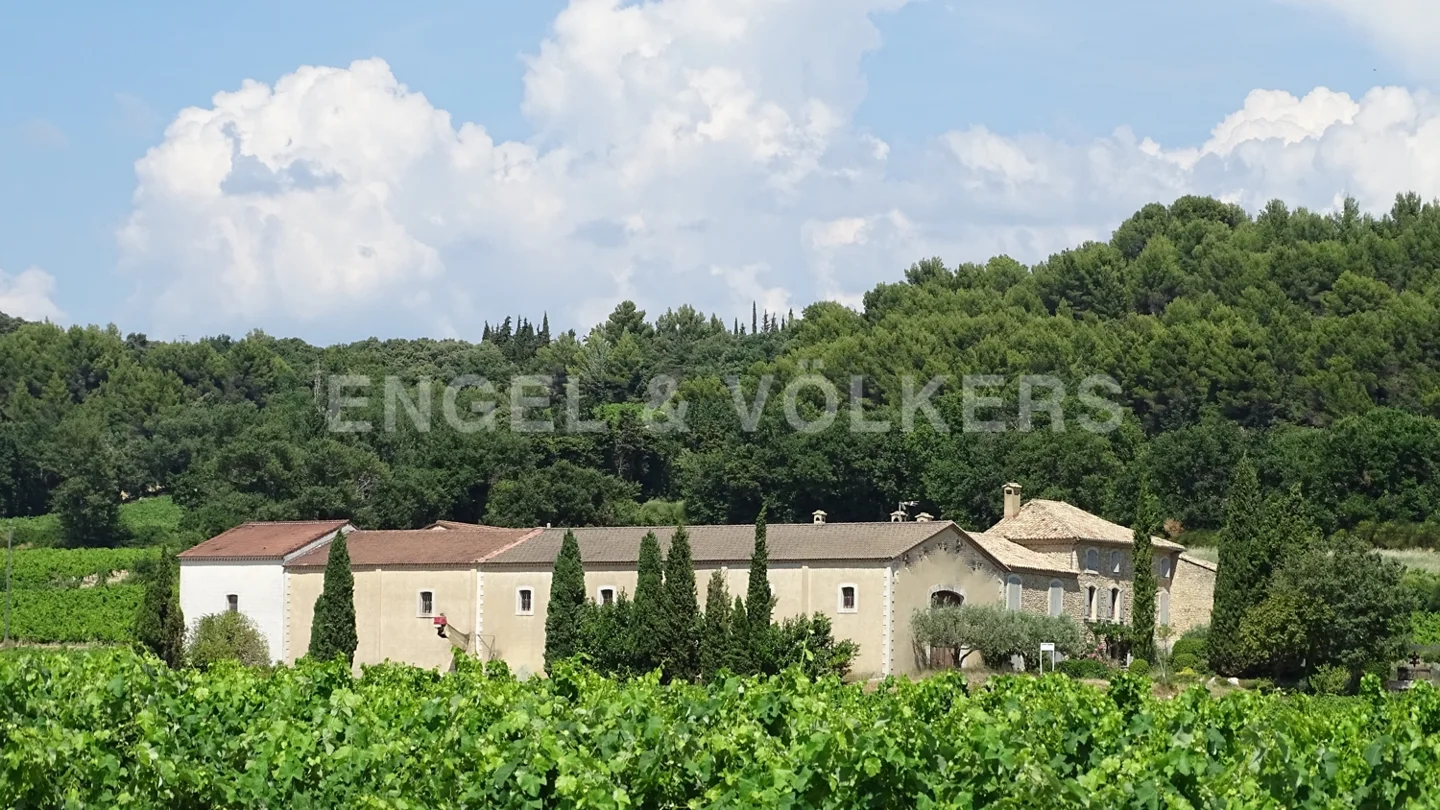 Domaine viticole sur 37 hectares