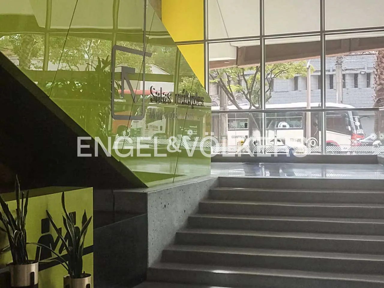 Engel & Völkers office interior with stairs, plants, and a view of a bus through the window. The walls are green and yellow.