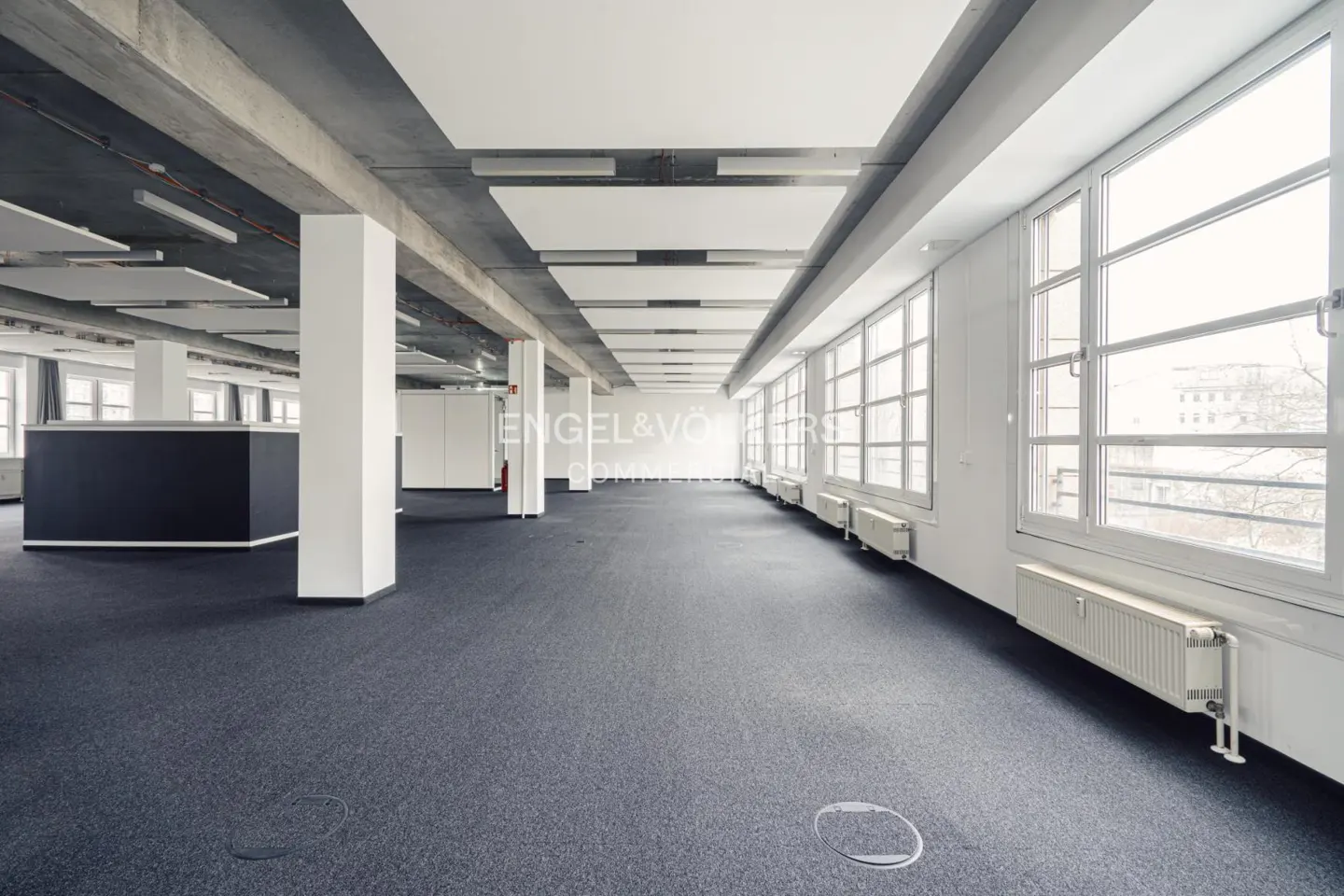 Bright, empty office space with blue carpet, white walls, and large windows. Concrete beams and white pillars support the ceiling.