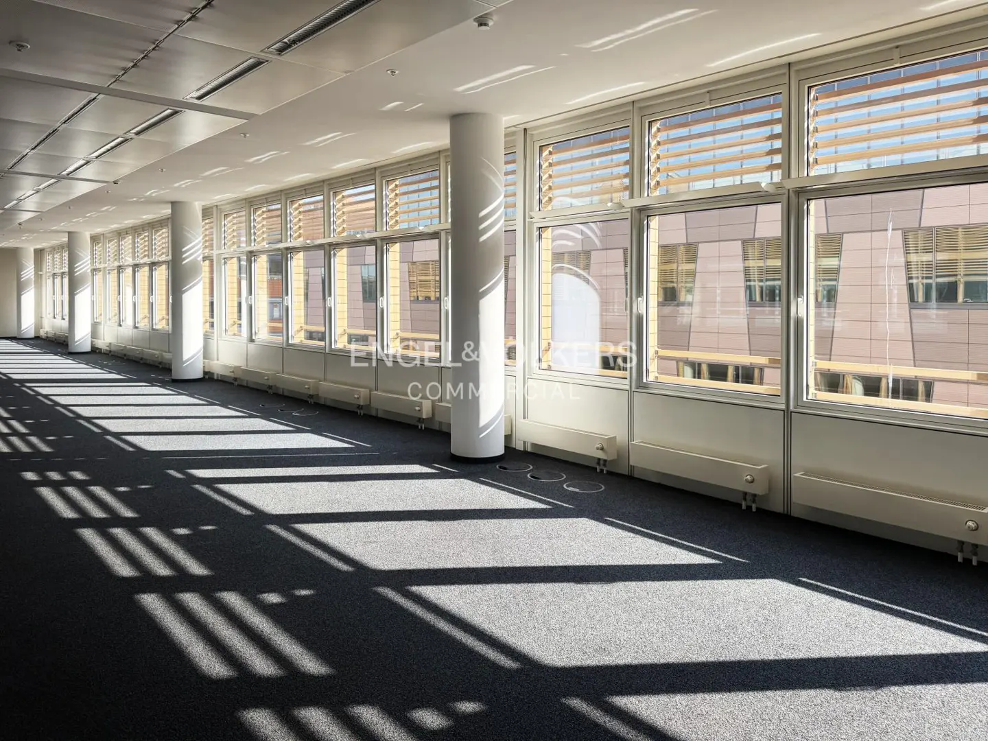 Bright, empty office space with gray carpet, white walls, and large windows with wooden blinds. Sunlight creates shadows on the floor.
