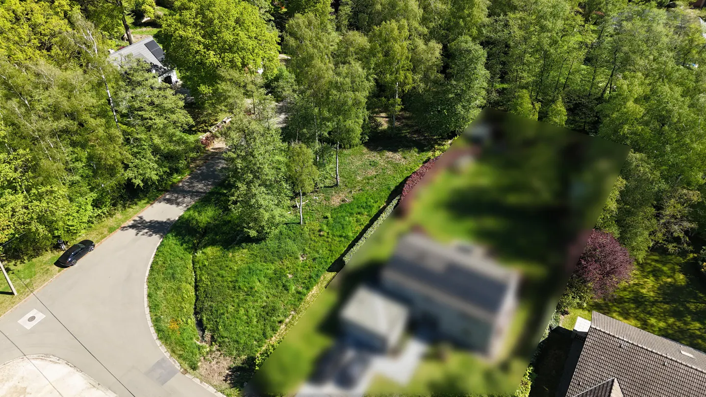 Aerial view of a wooded lot with a blurred house in the background and a black car parked on the street.
