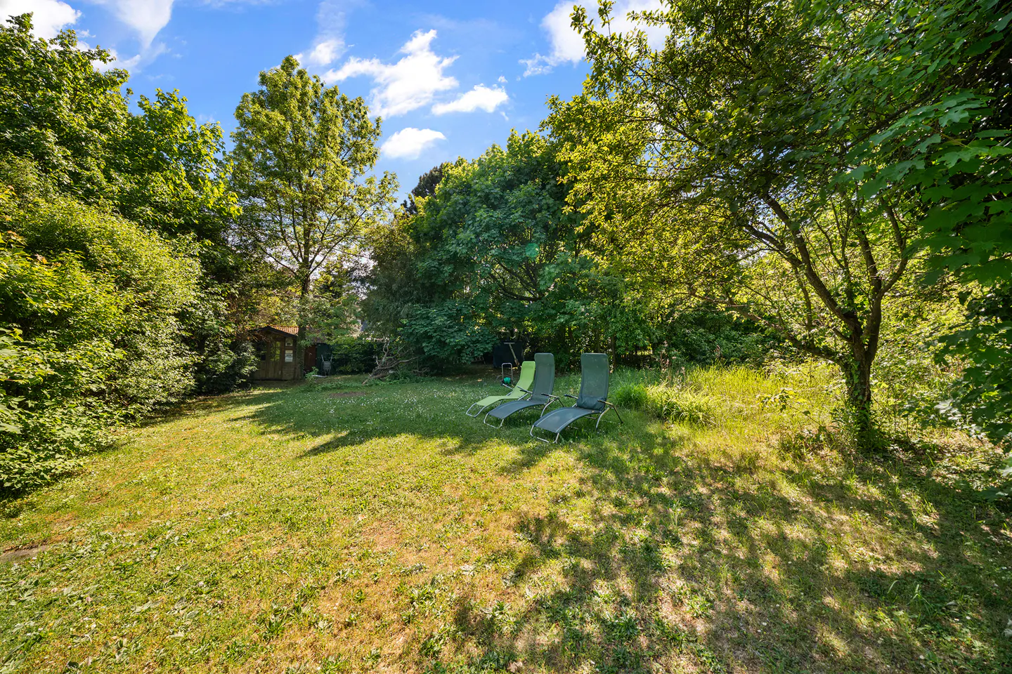 A lush green backyard with three lounge chairs on the grass, surrounded by trees and a small shed.