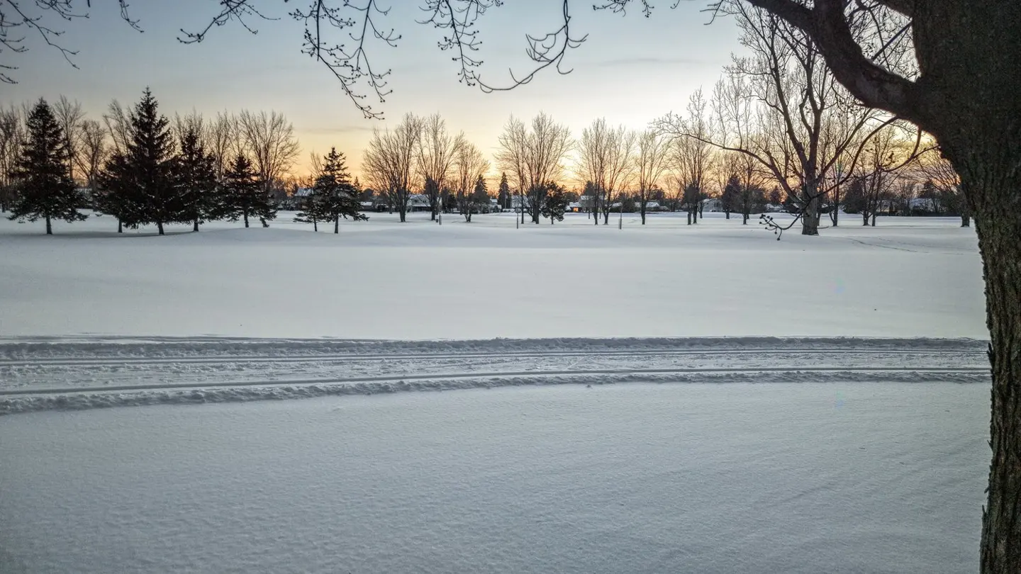 Snowy field with bare trees at sunset. Ski tracks cross the foreground. A large tree trunk is on the right.