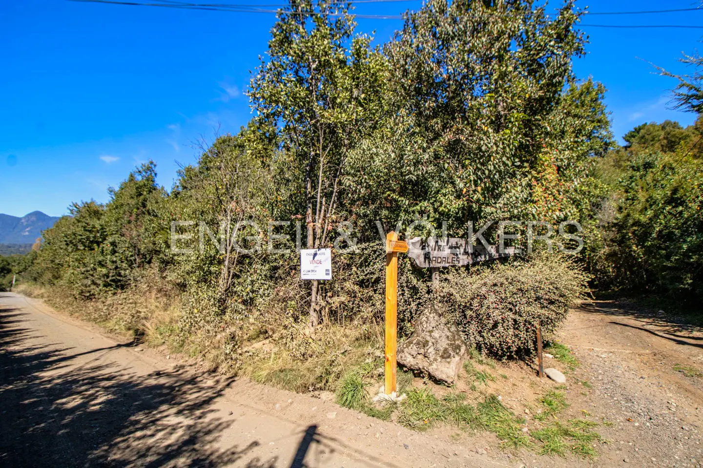 Dirt road forks near a wooden signpost pointing to "Radales" under a blue sky. Trees and shrubs surround the path.