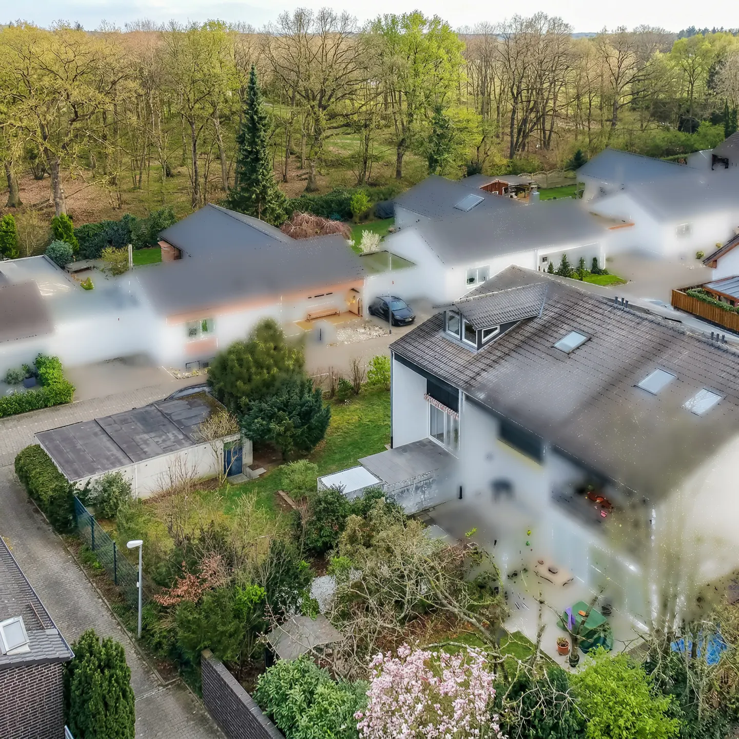 Aerial view of a residential neighborhood with white houses, gray roofs, green trees, and a forest in the background.