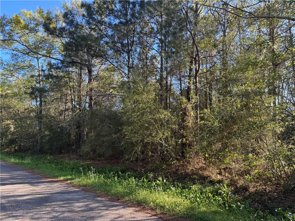 Wooded Homesite with Easy Bayou Access