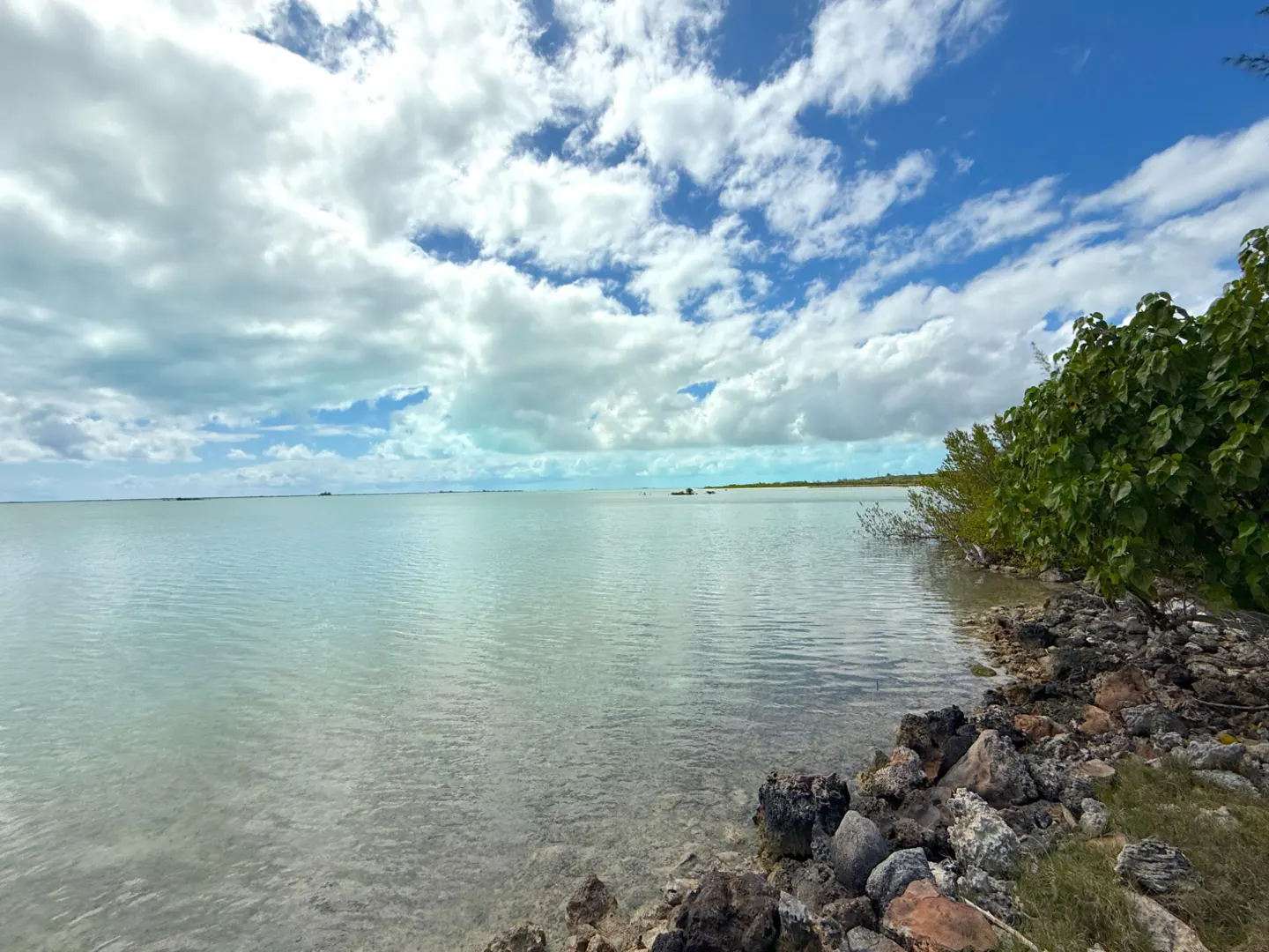Ocean view with rocks and green foliage on the shoreline under a blue sky with white clouds.