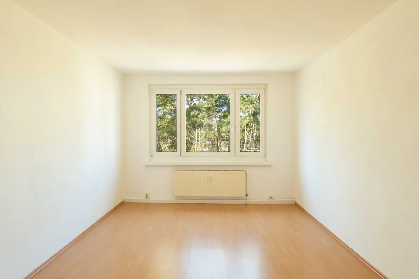 Empty room with white walls, light wood floor, and a window showing trees. A radiator is under the window.