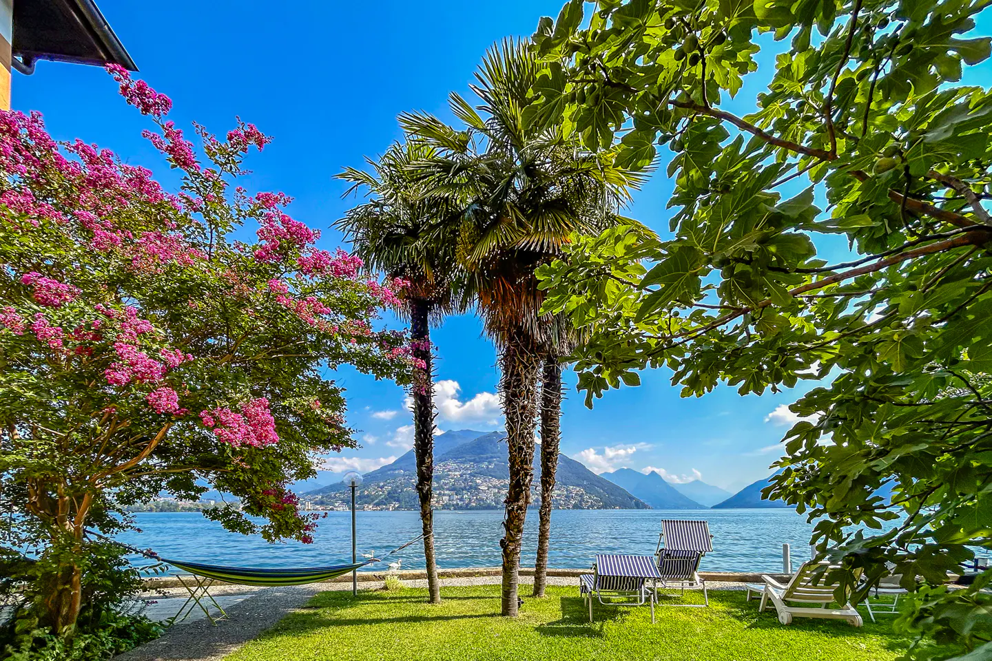 Lush garden with palm trees, pink flowering tree, and hammock overlooking a lake with mountains under a clear blue sky.