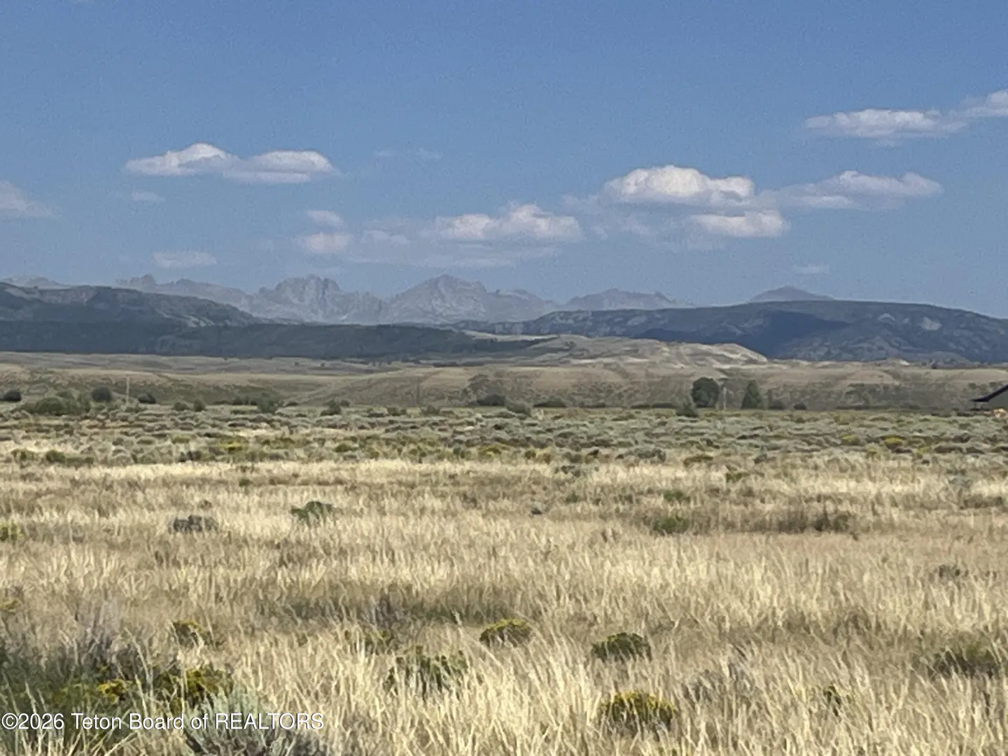 Open field of tall, dry grass under a blue sky with distant mountains.