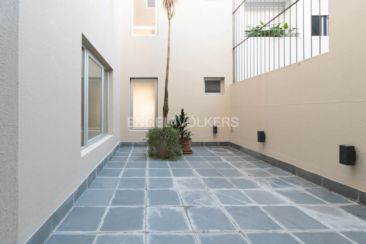 A courtyard with gray tiled floor, beige walls, windows, and potted plants. A tall, thin tree stands in the center.