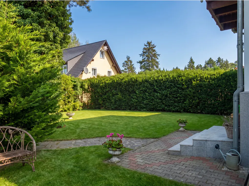 A sunny backyard with a green lawn, a stone patio, a metal bench, and a tall hedge, with a house visible in the background.