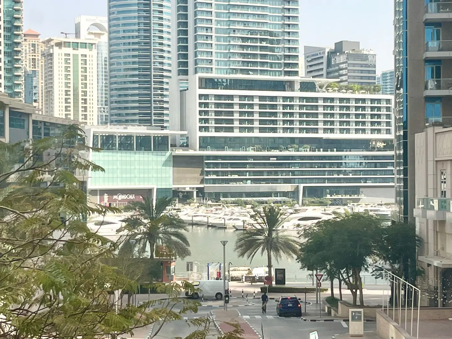 View of Dubai Marina with yachts, skyscrapers, palm trees, and a crosswalk with a cyclist and car.
