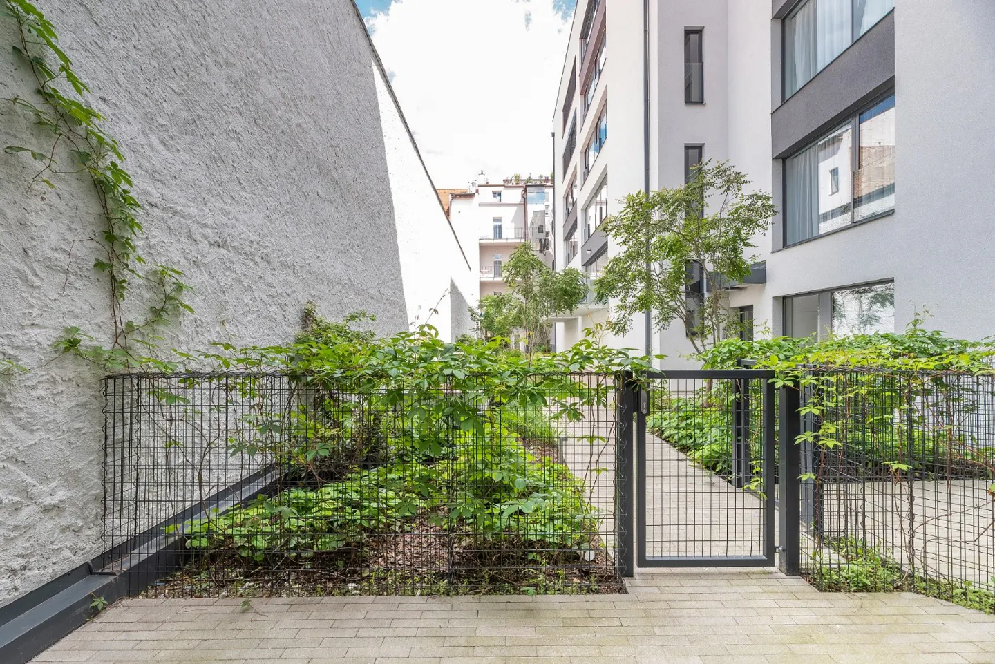 Courtyard view with a black metal fence, green plants, and a walkway between modern white buildings.