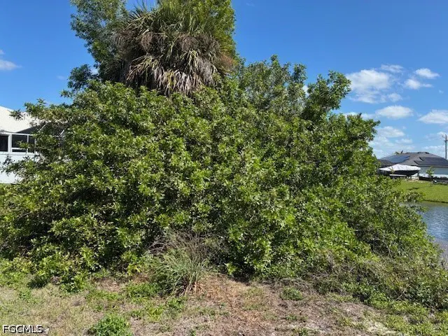 A vacant lot with a large green bush and palm tree under a blue sky. Houses and a canal are visible in the background.