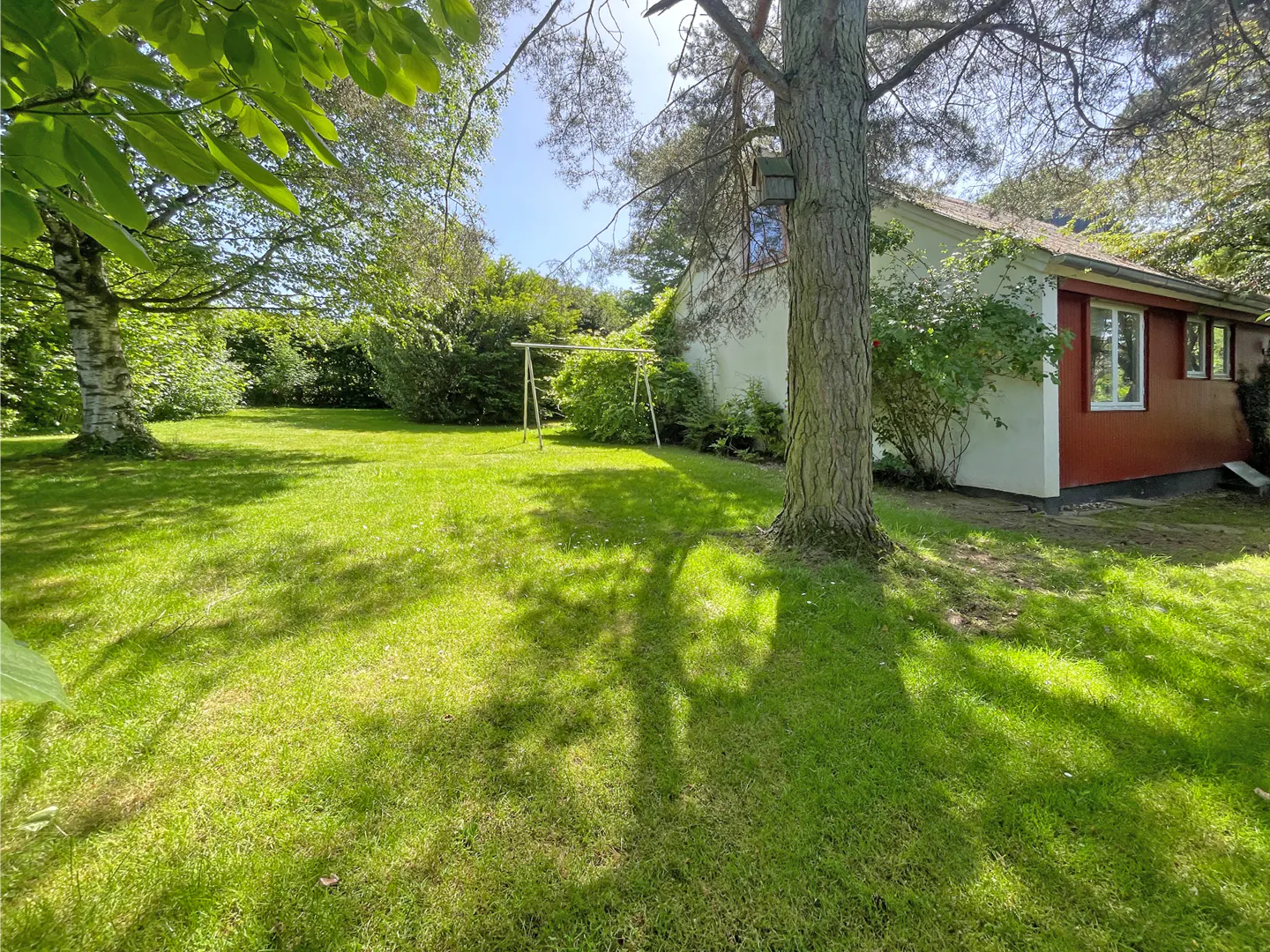 A lush green backyard with a large tree, a swing set, and a white house with red siding under a bright blue sky.