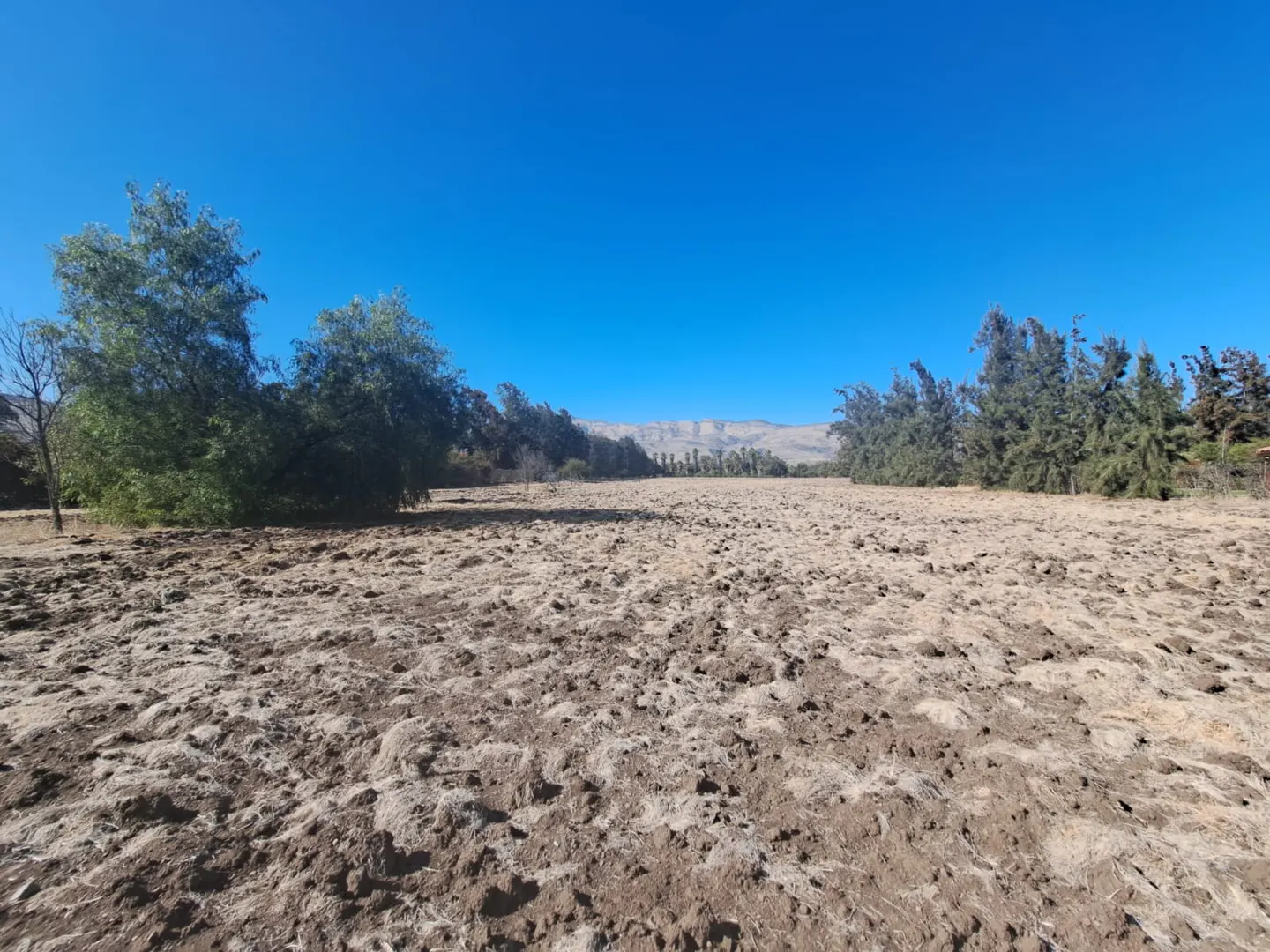 Vacant land with trees on the sides, brown dirt ground, and mountains in the background under a clear blue sky.