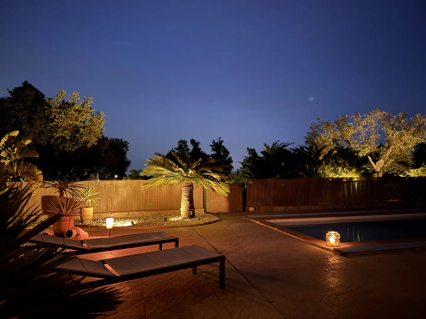 Night view of a backyard with a pool, palm tree, lounge chairs, and warm lighting.
