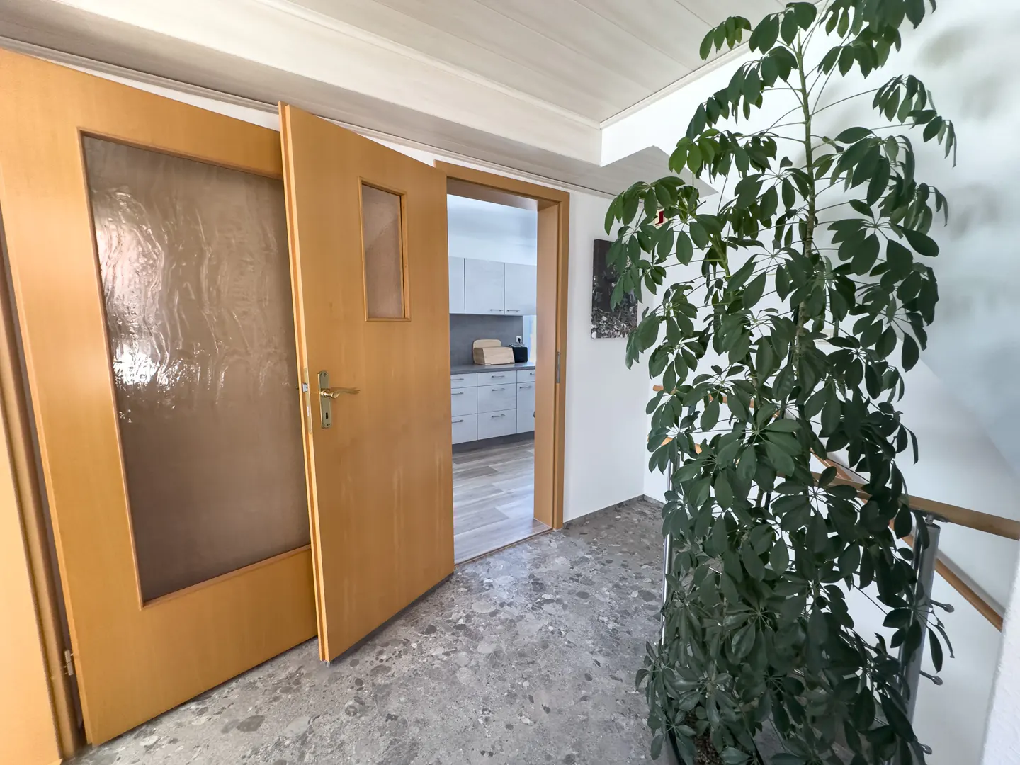 A foyer with an open wooden door leading to a kitchen, a glass-paneled door, a large green plant, and a gray stone floor.