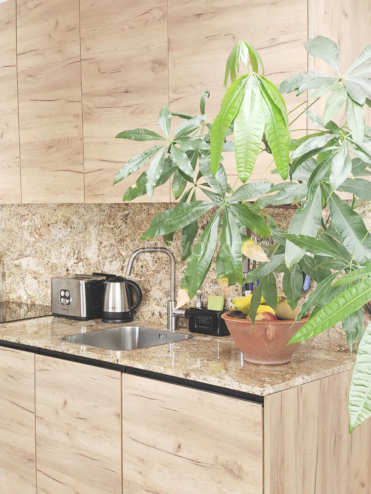 A kitchen with light wood cabinets, granite countertops, a stainless steel sink, and a large green plant.