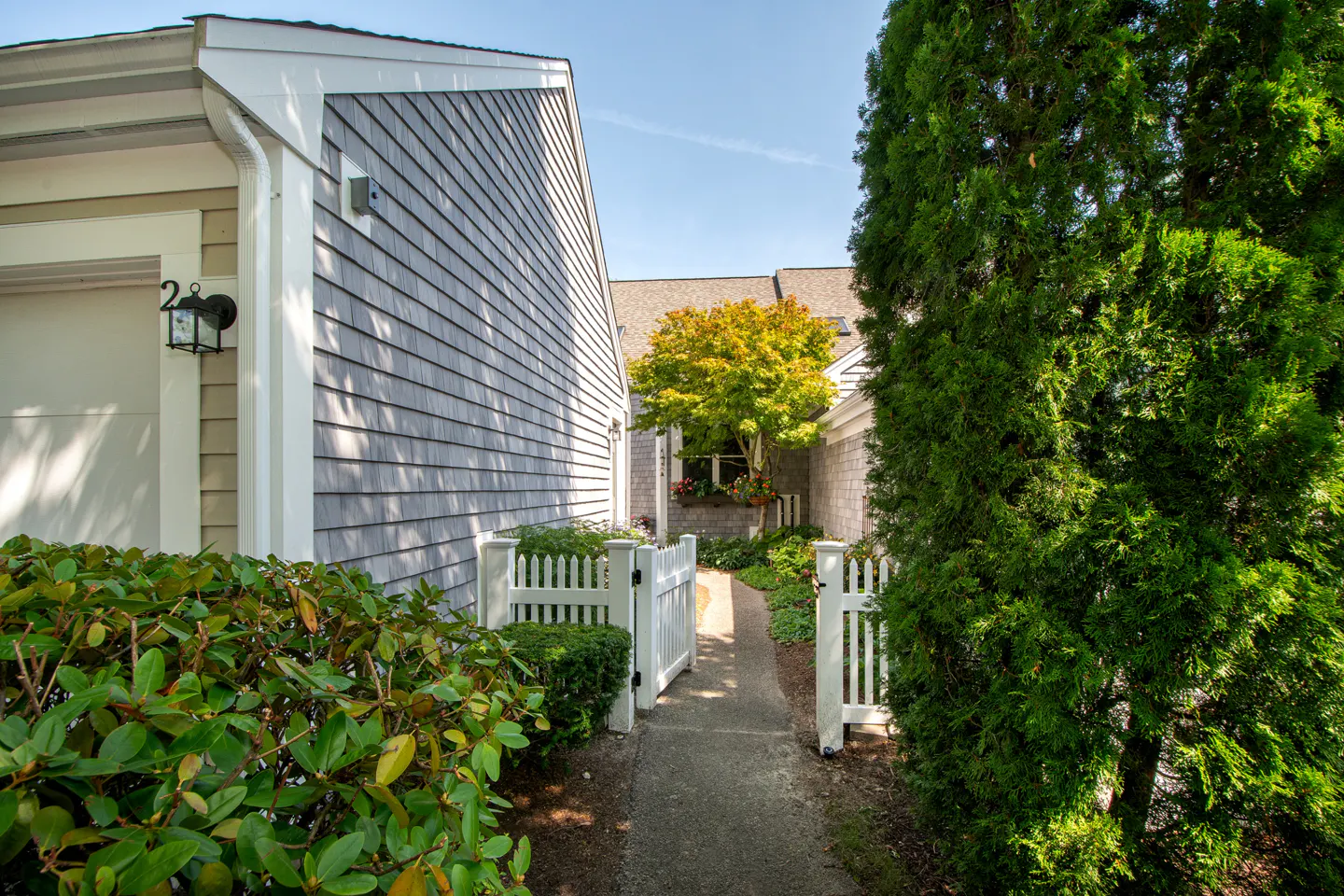 A walkway between two gray shingle houses leads to a white picket fence and a green tree.