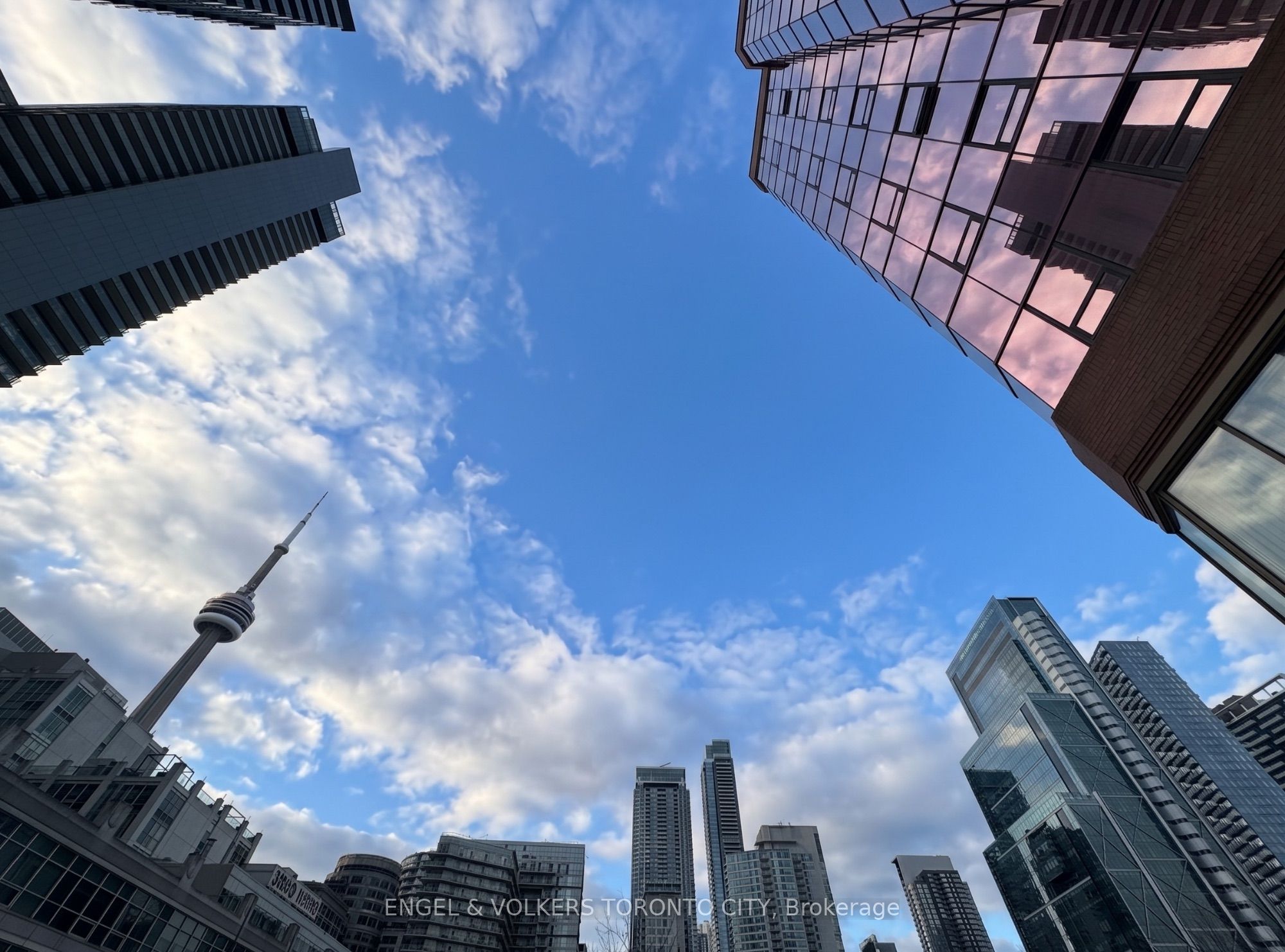 Mesmerizing  in the Vibrant Heart of King West