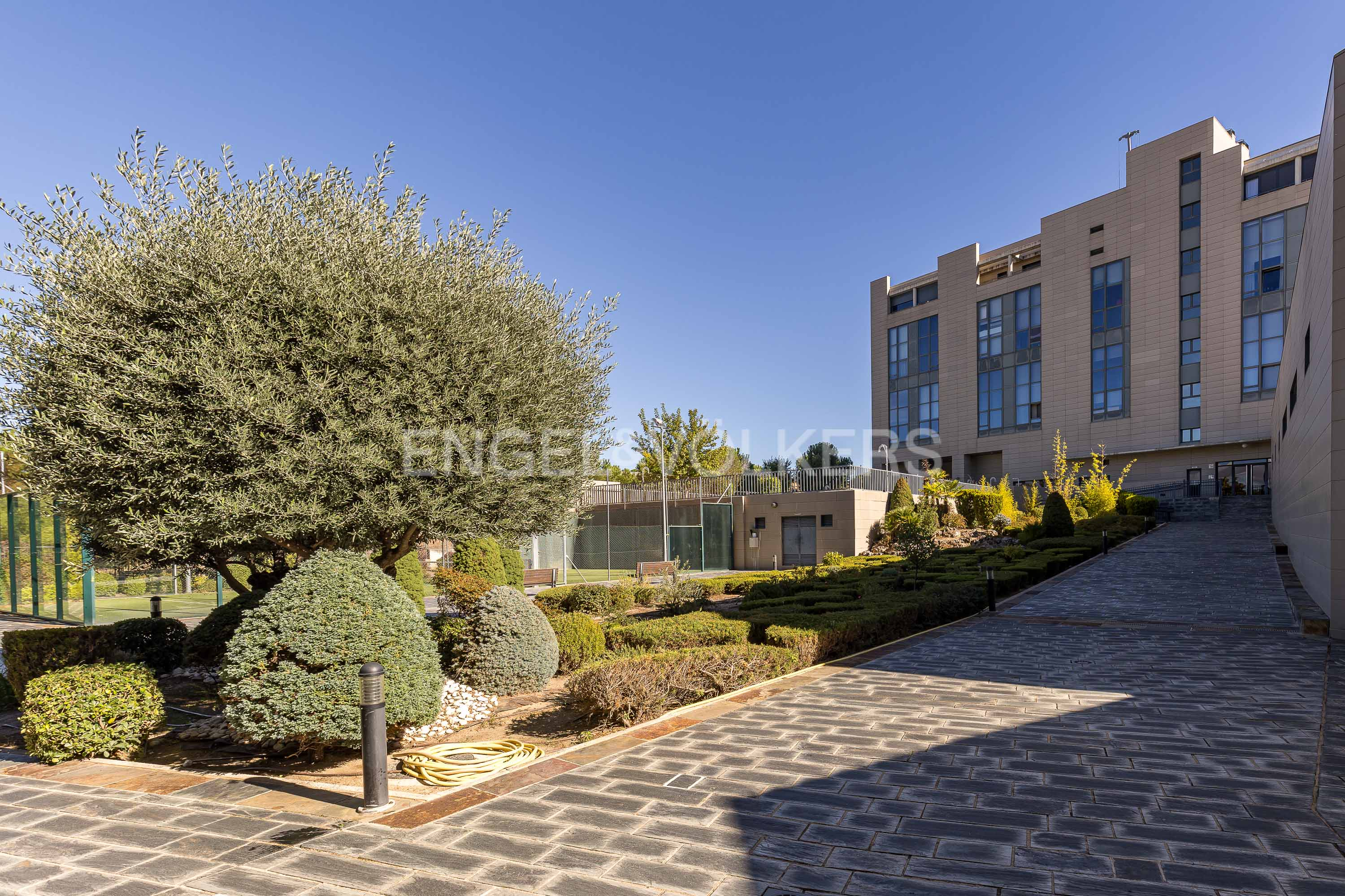 Loft con piscina en padel en Sanchinarro norte
