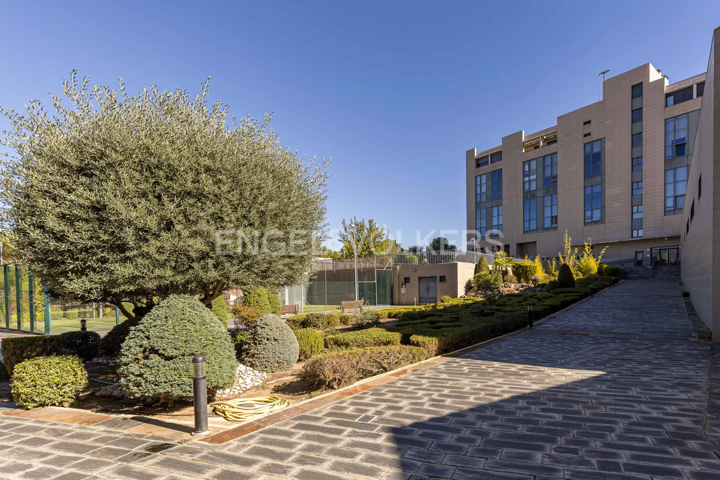 Exterior view of a modern building with a garden and brick pathway under a clear blue sky.
