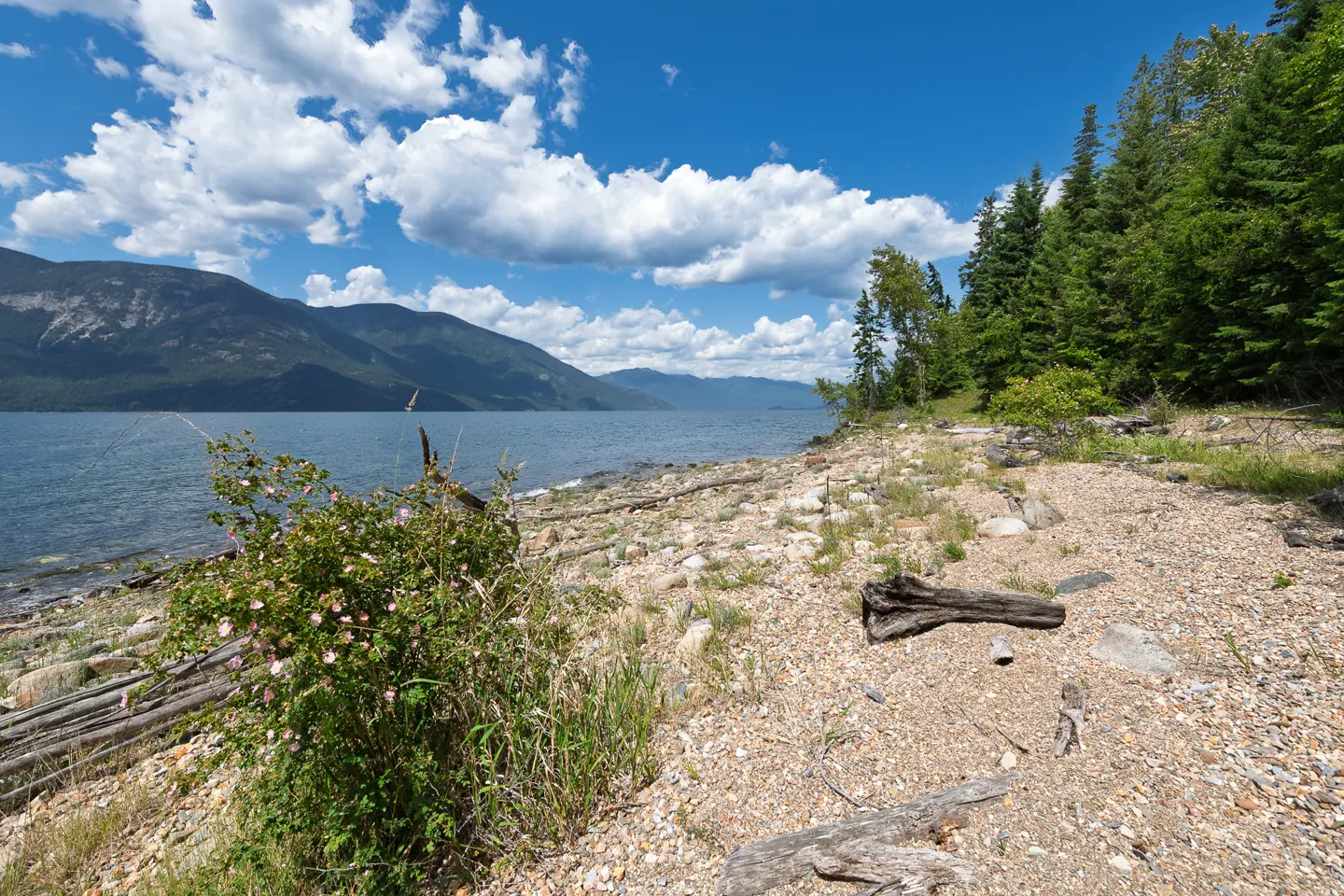 Scenic view of a lake with mountains, trees, and a rocky beach under a blue sky with white clouds.