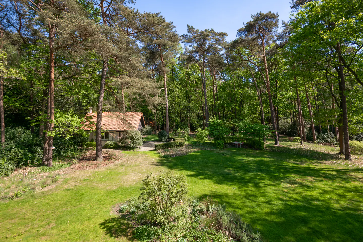A small house with a red tile roof sits in a forest clearing with a green lawn.