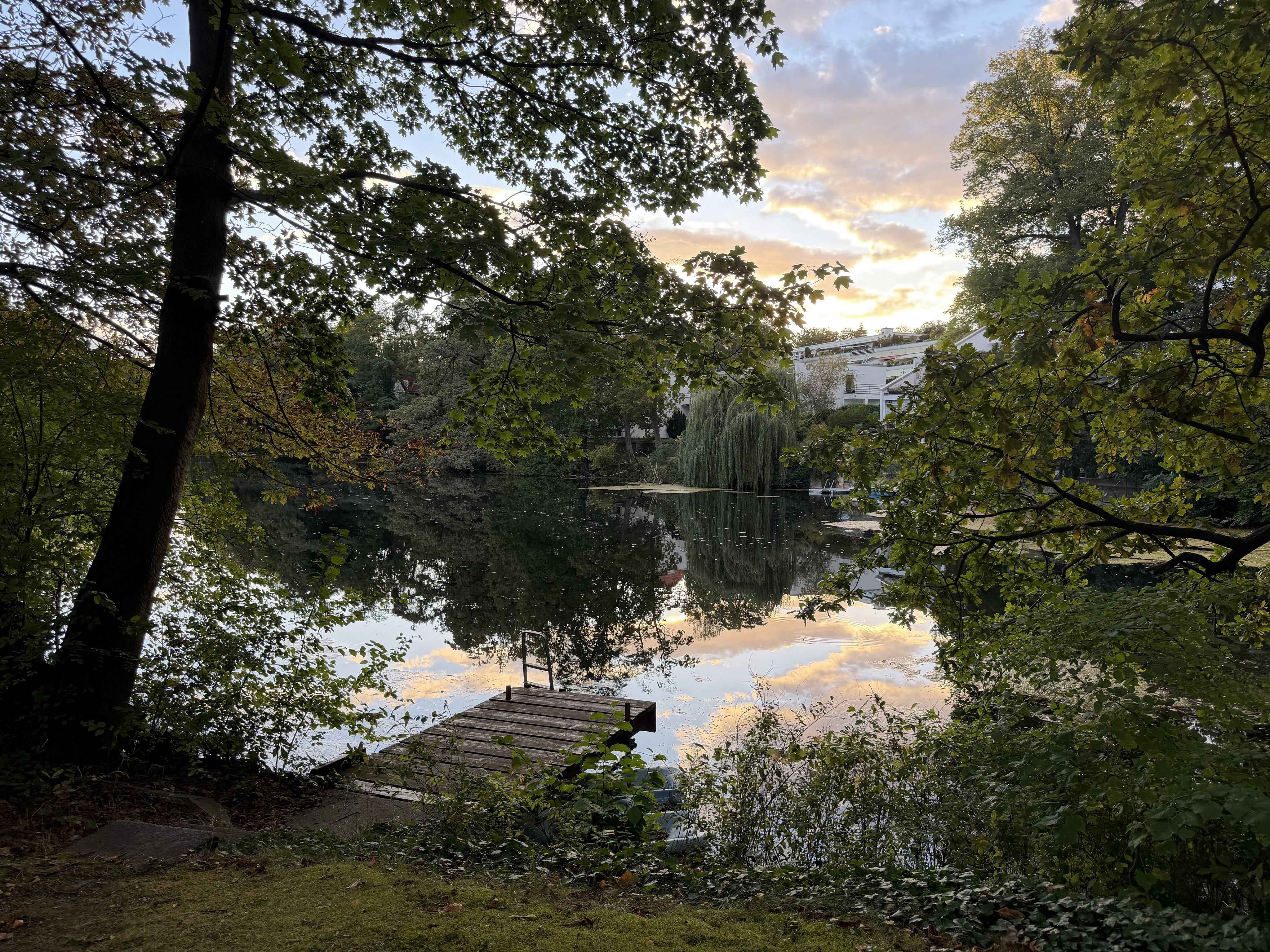 A wooden dock extends into a calm lake reflecting a sunset sky, framed by lush green trees and a distant white building. [AI-generated text]