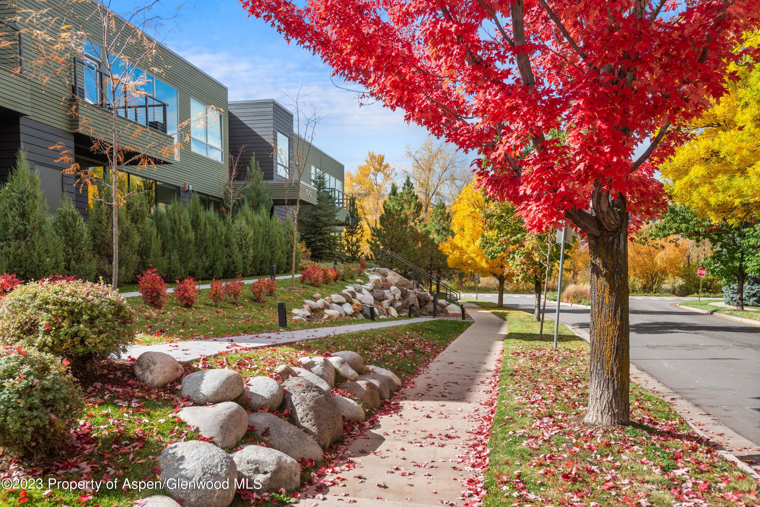 Elegant Park Modern in Basalt