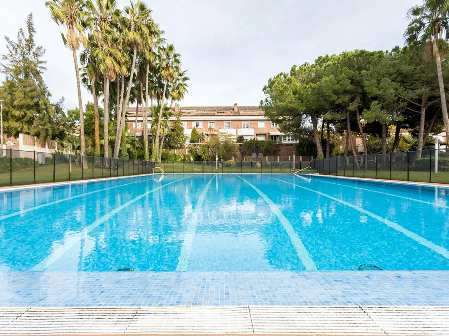 Outdoor pool with blue water and white lane markers, surrounded by palm trees, green trees, and a black fence. A building is visible in the background.