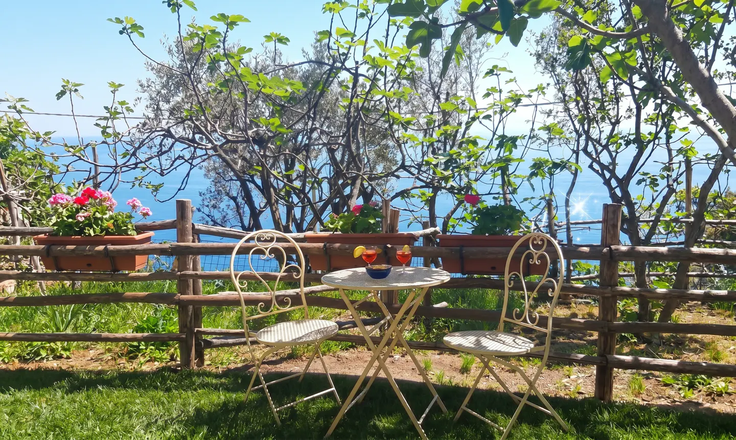 Outdoor seating area with two white chairs and a table with drinks, overlooking the ocean through a rustic wooden fence and trees.