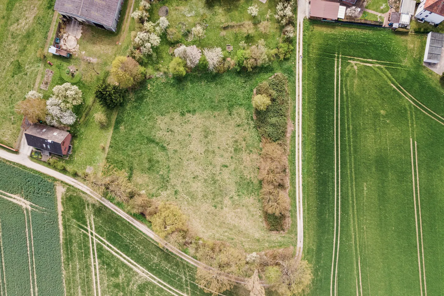 Aerial view of a green field surrounded by trees, a dirt road, and farm buildings.