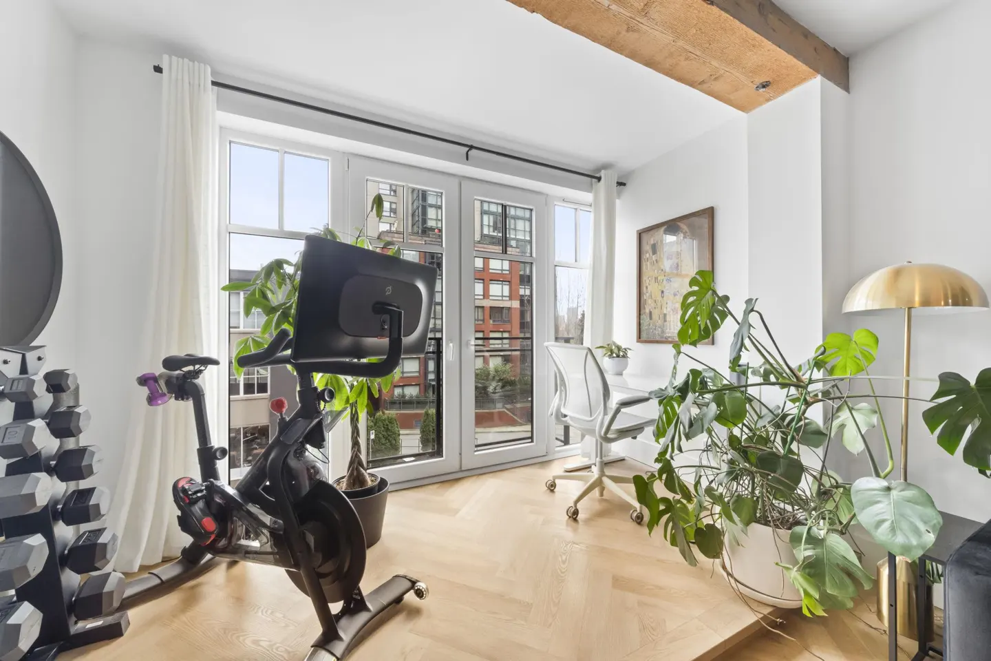 Bright home office with a stationary bike, weights, desk, and Monstera plants. A gold floor lamp stands near the desk.