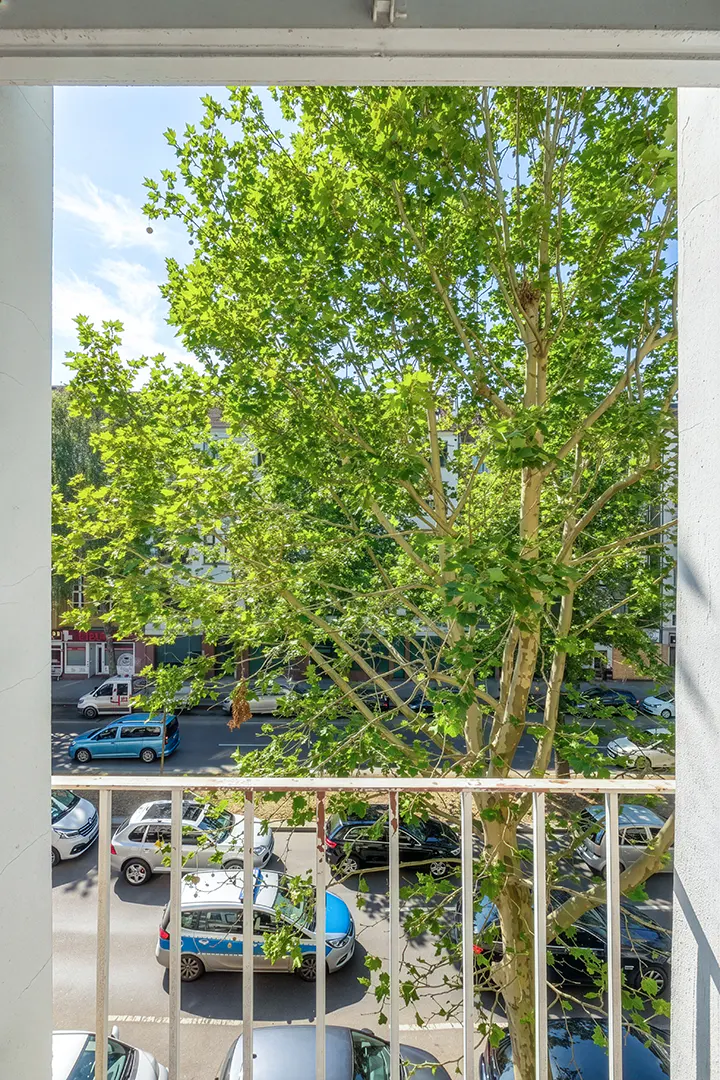 View from a balcony with white railings overlooking a street with cars and a large green tree.