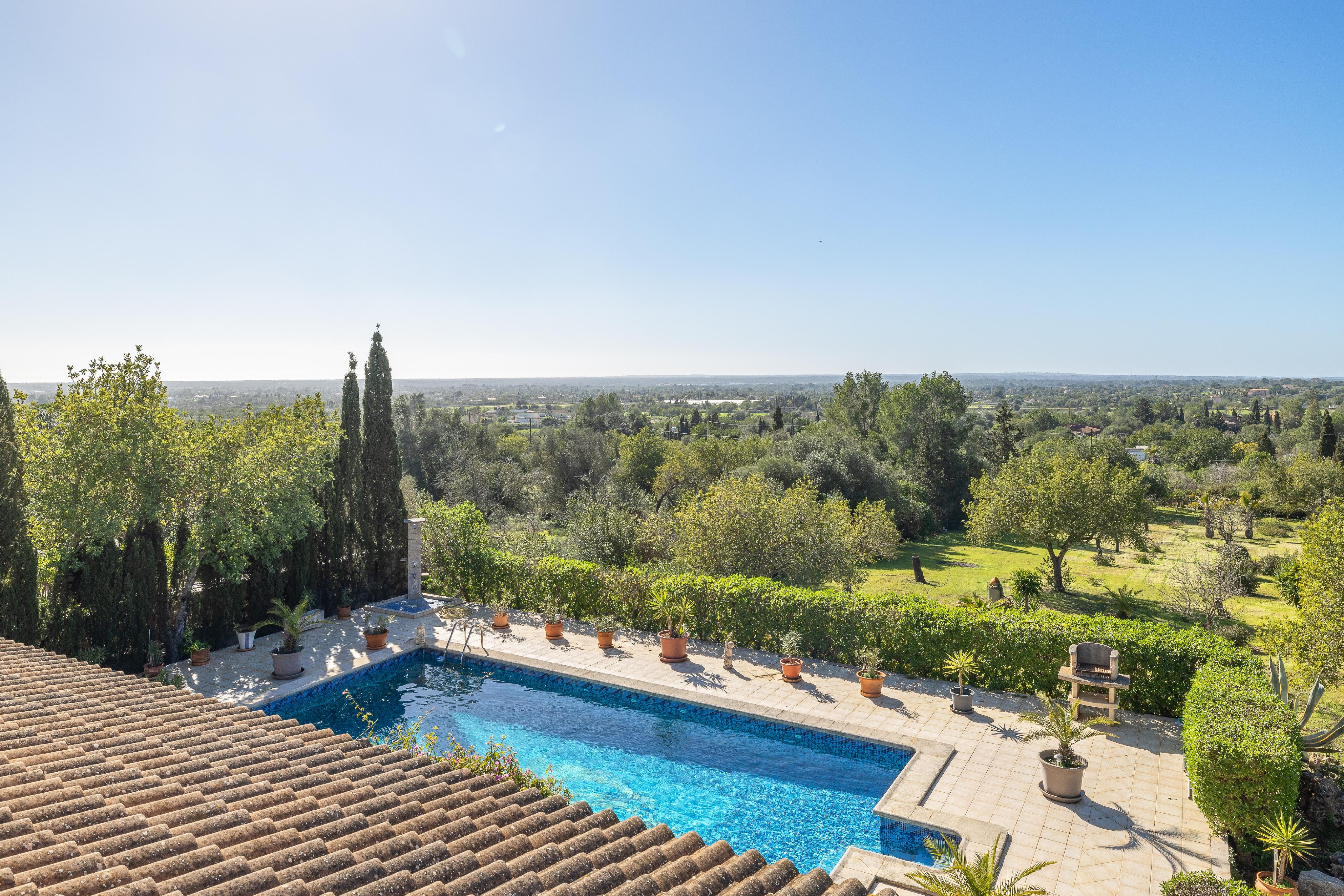 Aerial view of a blue tiled pool surrounded by greenery, potted plants, and a tiled roof under a clear blue sky.