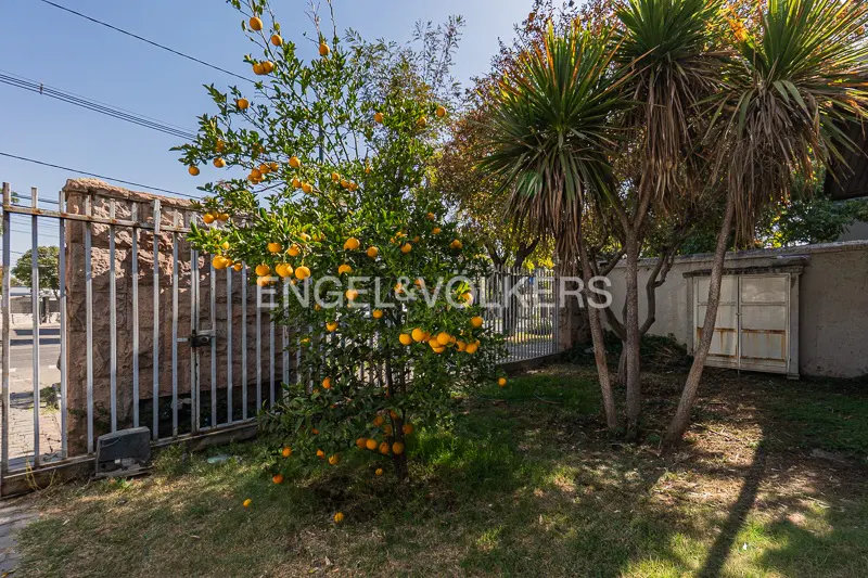 A yard with an orange tree full of ripe oranges, palm trees, and a metal gate. The Engel & Volkers logo is superimposed on the image.