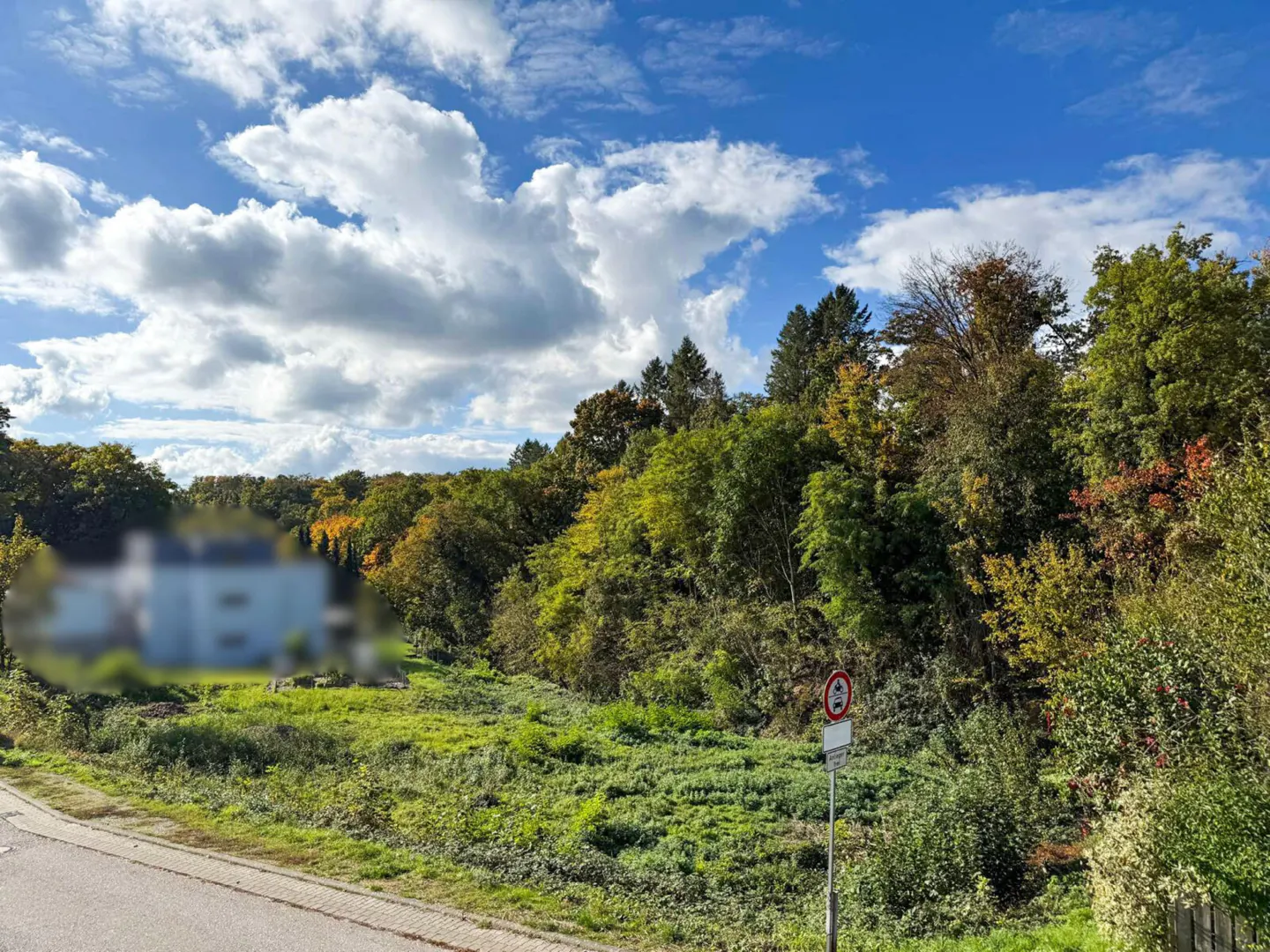 View of a lush green field with trees, a blurred house, and a blue sky with white clouds.