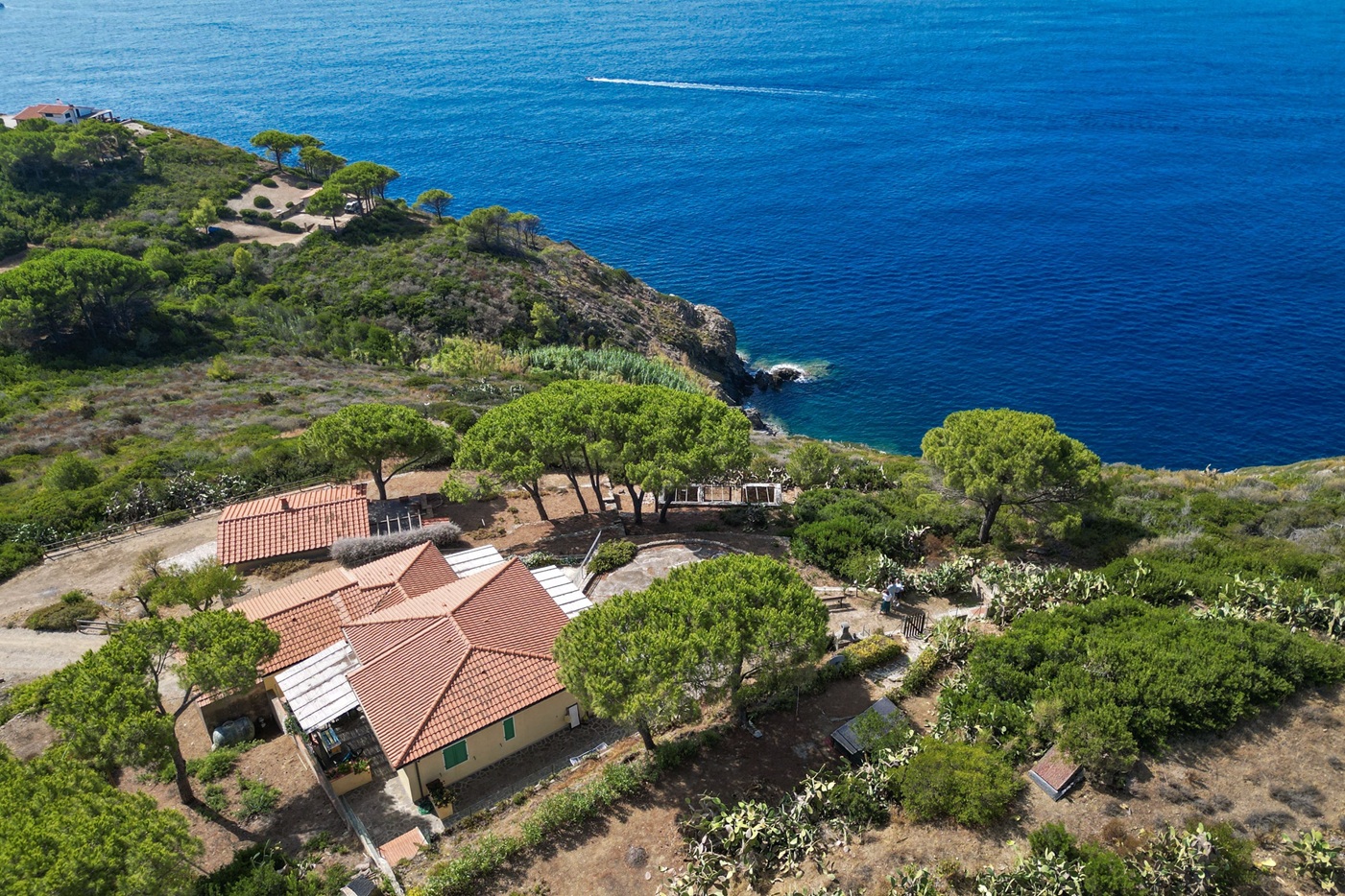 Capoliveri: Villa with panoramic view