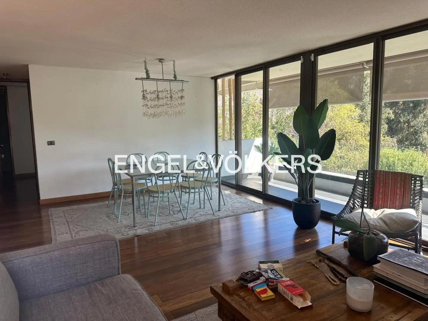 A bright living room with a dining table, a large window, and a wooden floor. A plant and a chair are near the window.