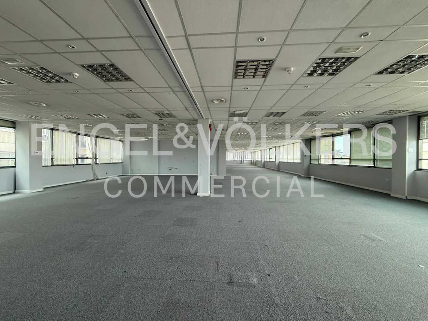 Empty office space with gray carpet, white walls, and a white ceiling with recessed lighting. Windows line the walls.