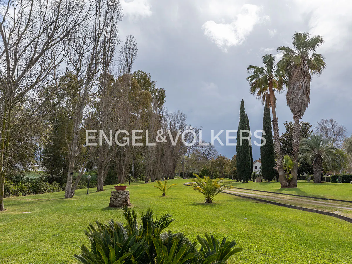 Lush green lawn with palm trees and tall trees under a cloudy sky. The Engel & Volkers logo is superimposed on the image.